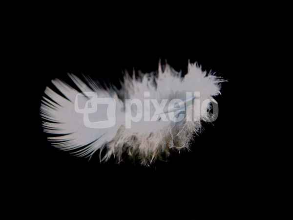 freier Fall