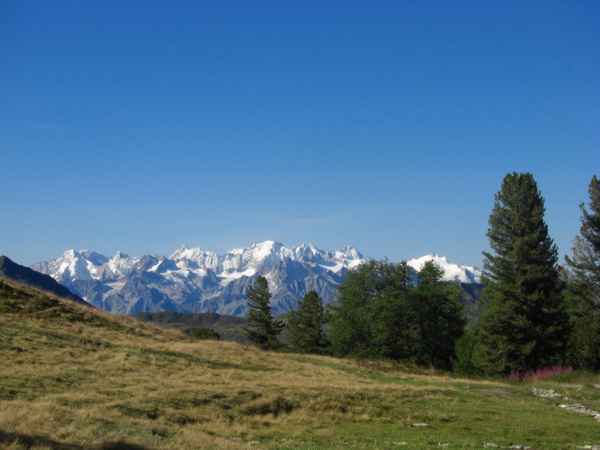 Blick in die Walliser Alpen / 2