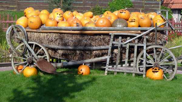 der Herbst ist da