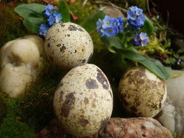 Klein Ostern