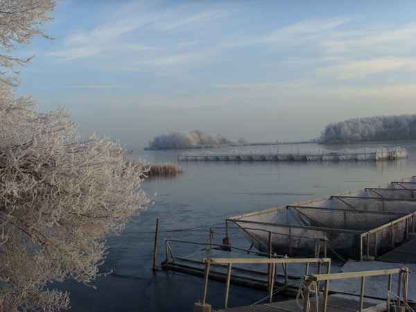 Winter 2