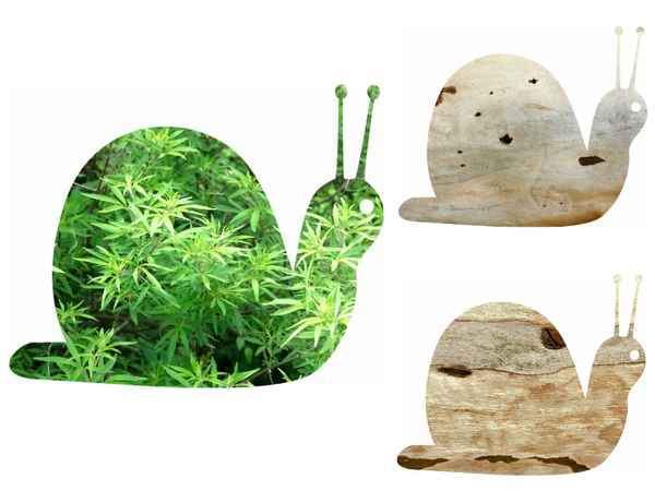 Drei Gartenschnecken