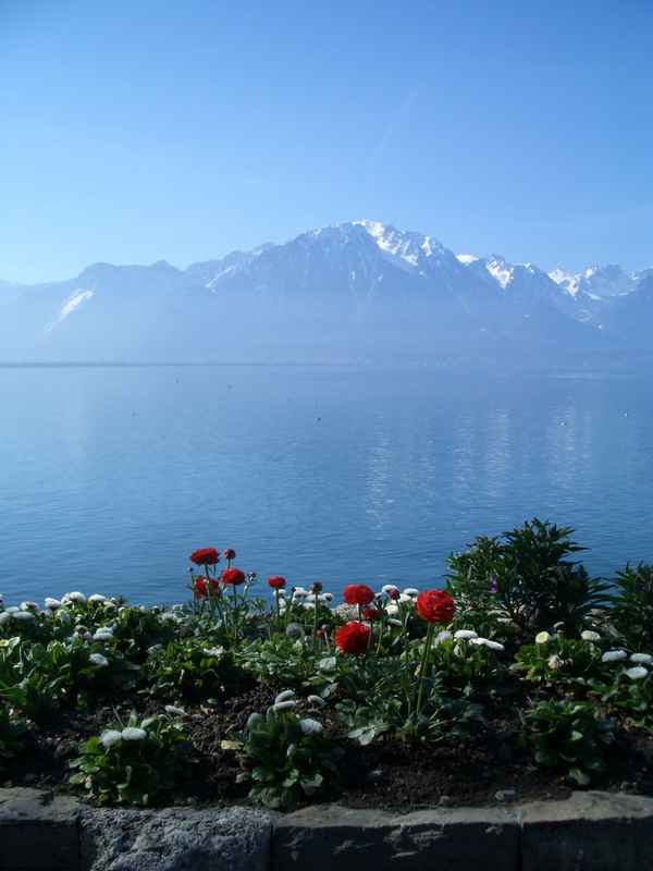 Frühling am Genfersee