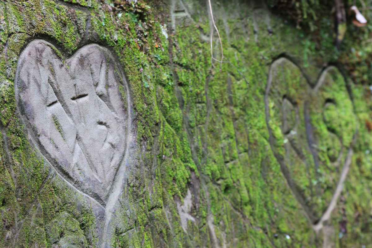 Love is everywhere