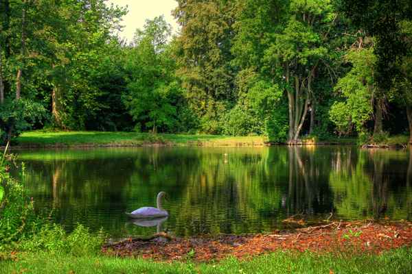 Ruhe im Schlosspark 1