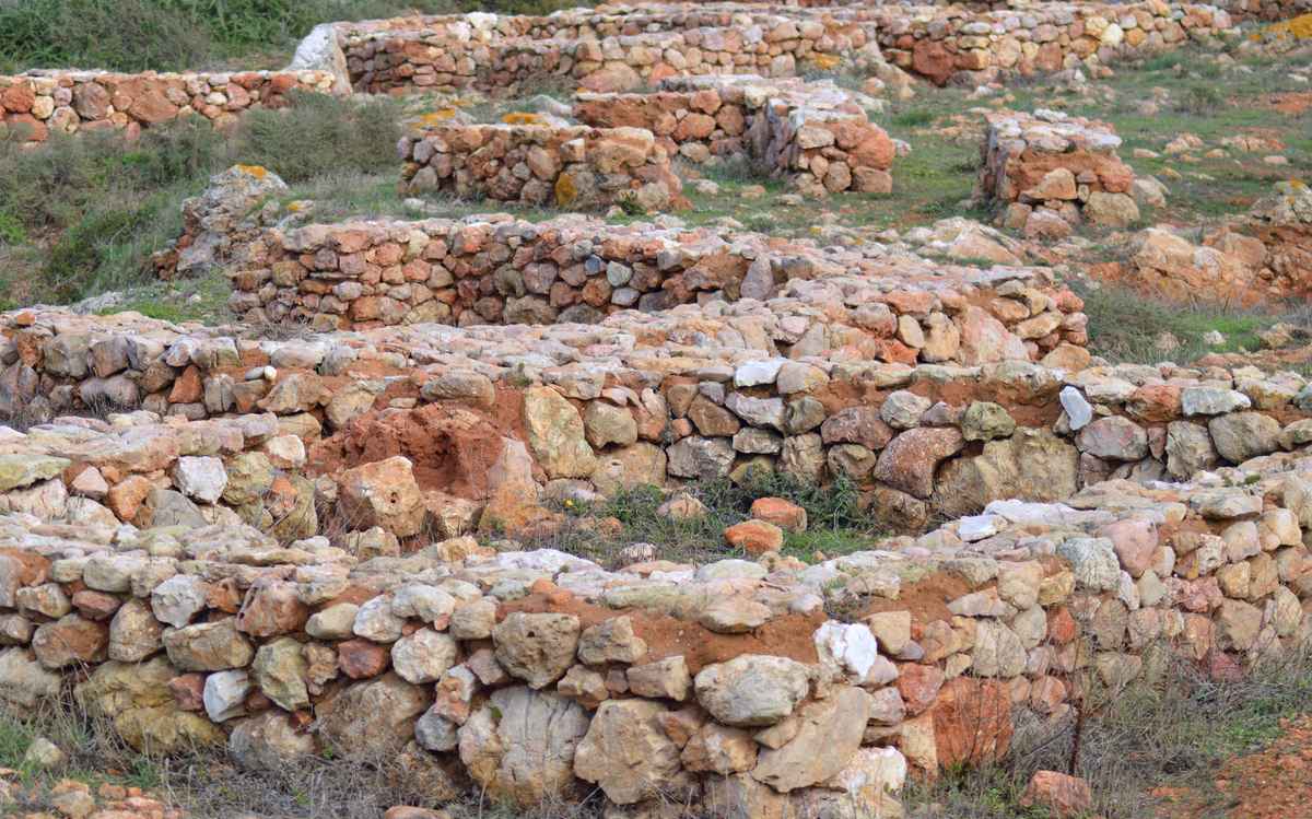 Grabungsfeld, Ausgrabung 102015