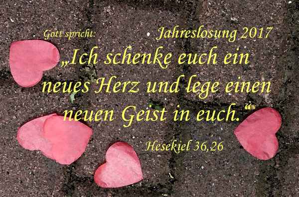 Jahreslosung 2017-4b