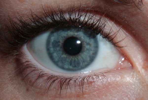auge