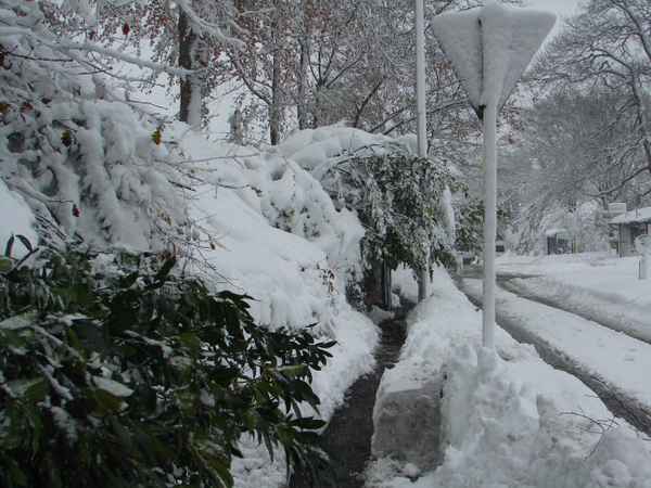 Schneechaos 2005 im Bergischen Land #5