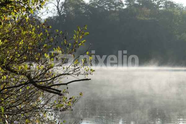Frühnebel am Baldeneysee