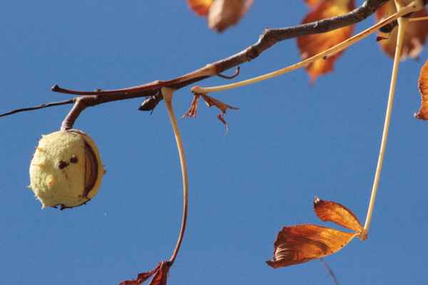 Zum Absprung bereit