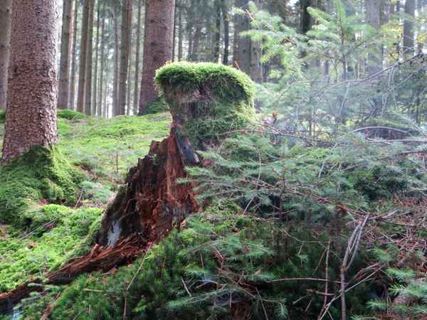 ich fùhlte mich beobachtet....