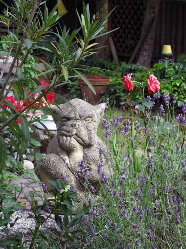 Fußball-WM 2014 vorbeiund was nun?