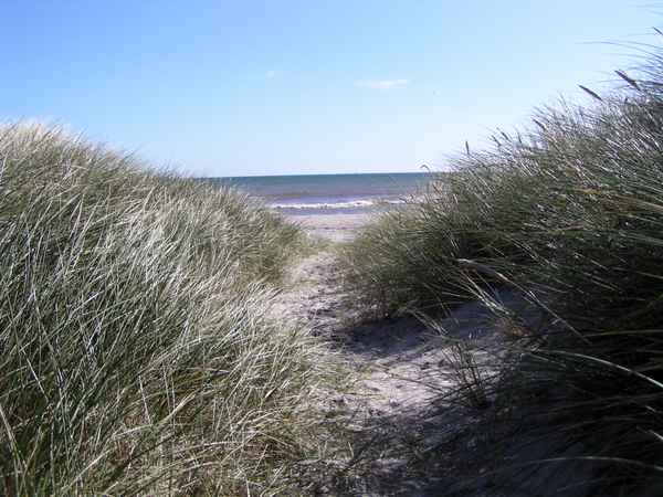  Lyngsa Strand 03 (Dänemark)