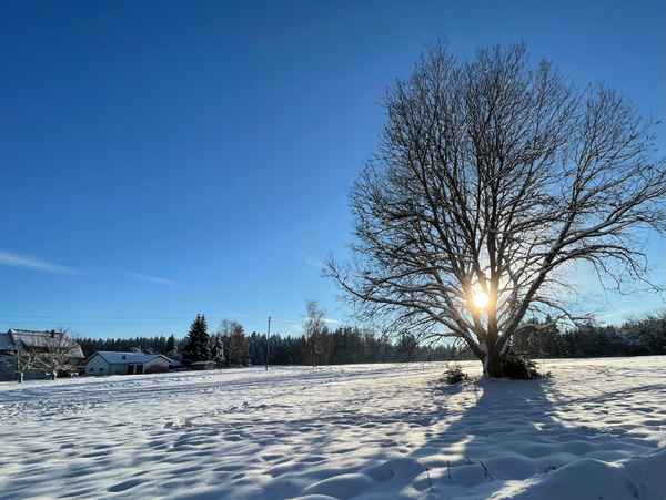 Wintersonne