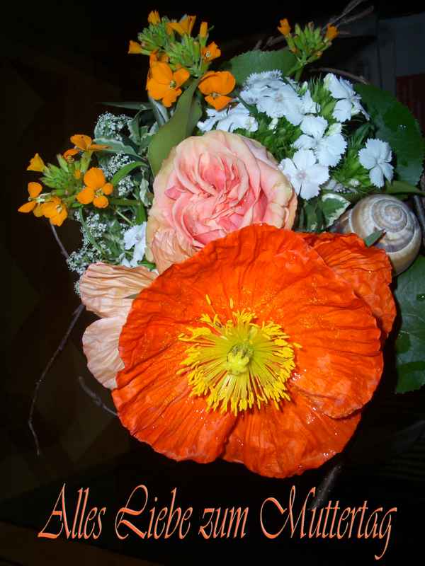 Für meine liebe Mutter