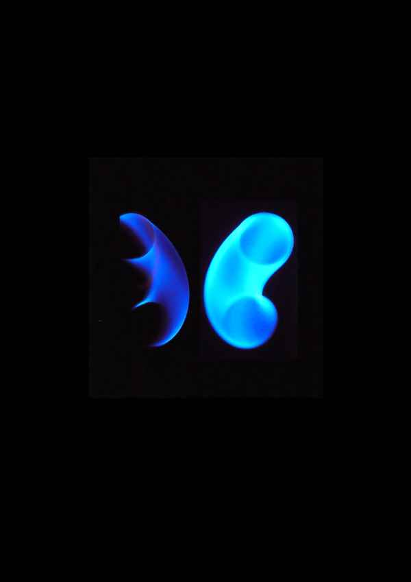 schmetterling