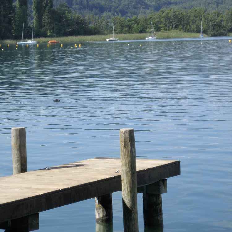 Steg am See