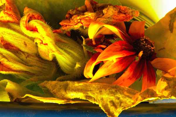 Herbstfeuer
