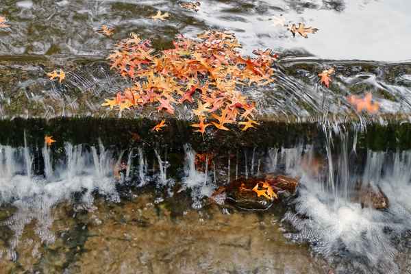Herbst-Moment