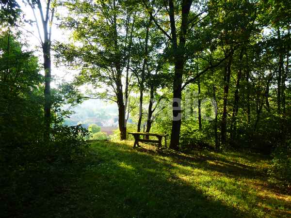 Rastplatz im Wald
