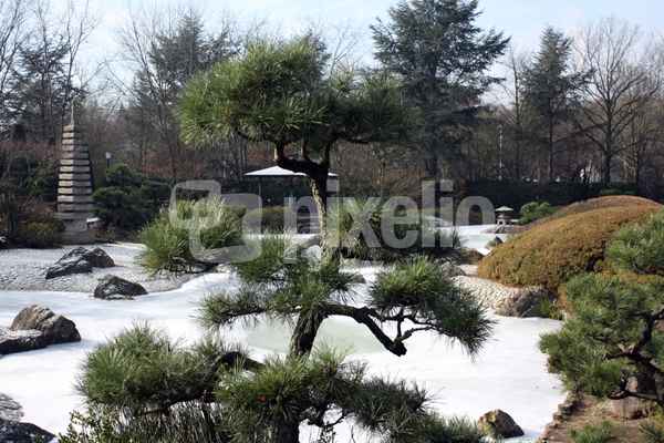 Winter im japanischen Garten.