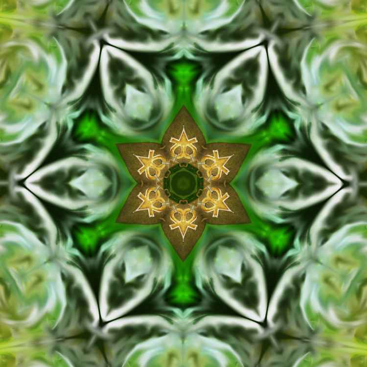 Mandala 2