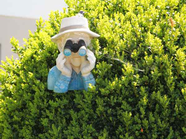 Alles im Blick