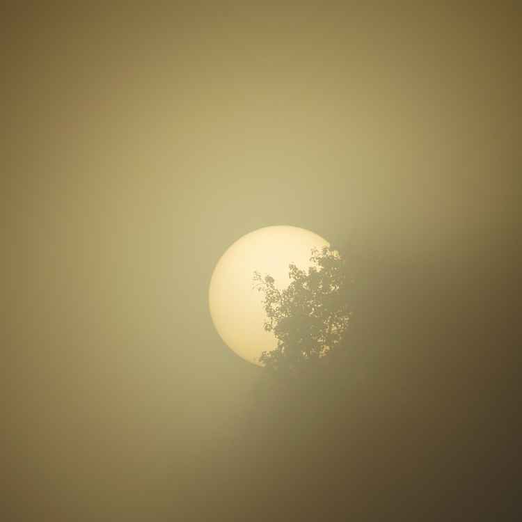 Morgensonne vs. Herbstnebel, 1:0