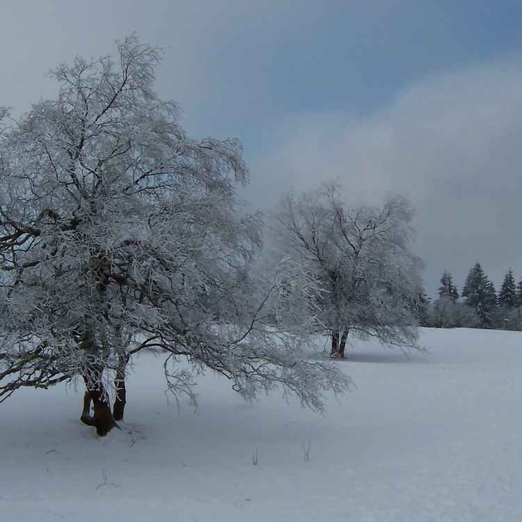 Winterberg