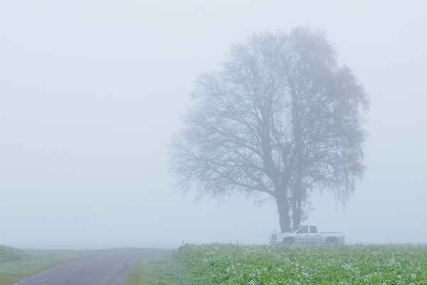 im nebel unterwegs 2