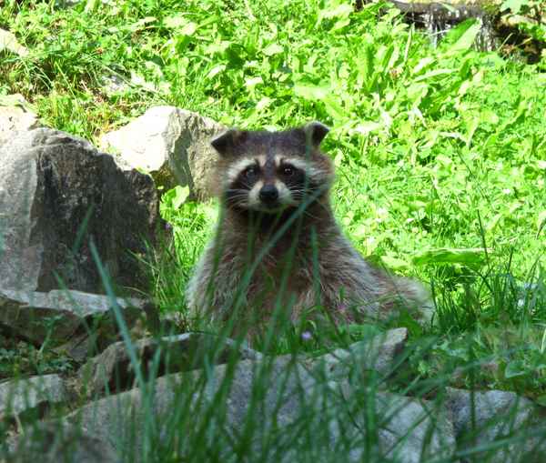 Ich wasche nicht