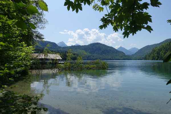 Alpsee bei Neuschwanstein