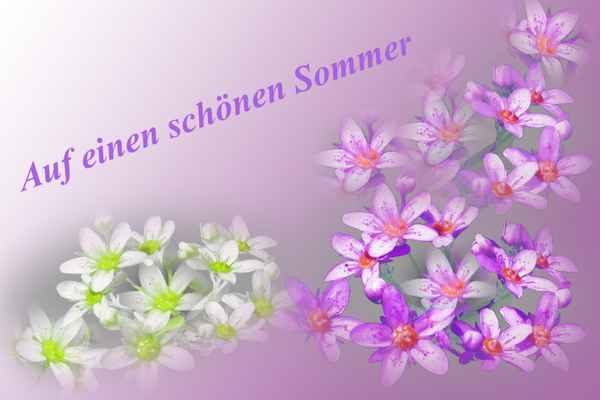 Auf einen schönen Sommer