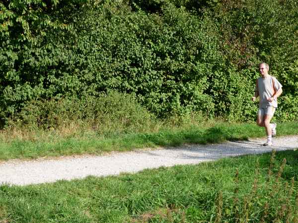 Fite Senioren: Allein im Wald