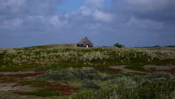  Haus in den Dünen