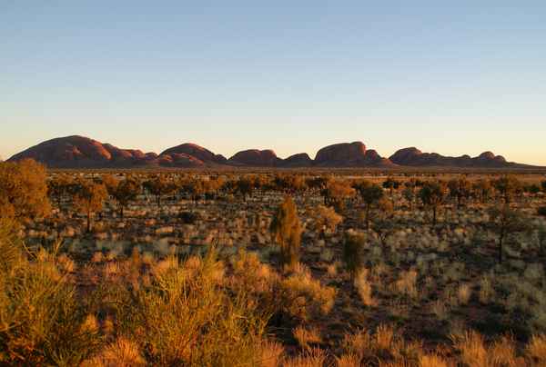 Olgas 2