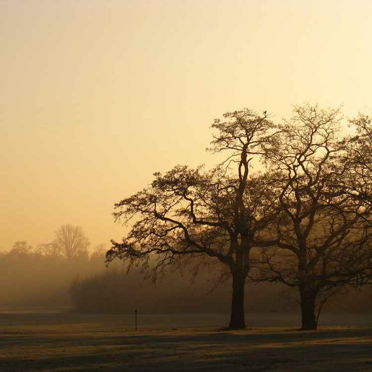 An einem Wintermorgen