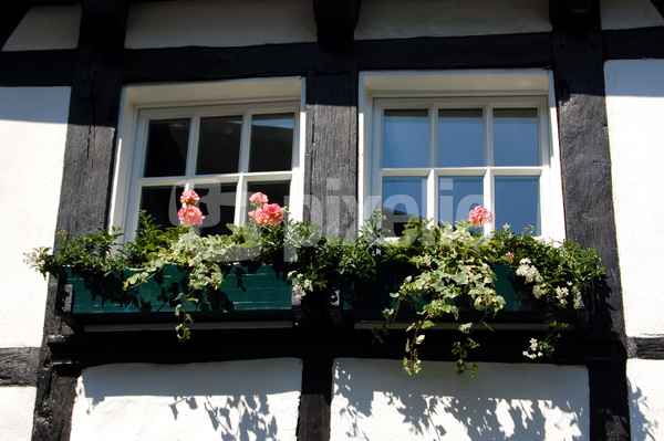Fachwerk in Essen-Kettwig #2