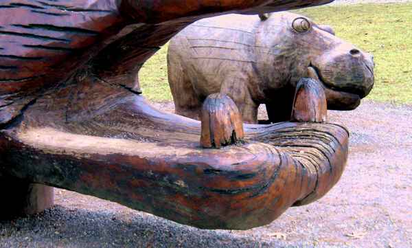 " Ich schnapp Dich "