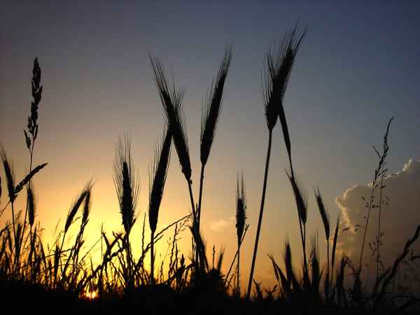Untergang der Sonne