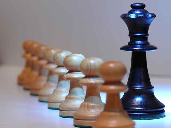 Alle sind gleich - doch einige sind gleicher..