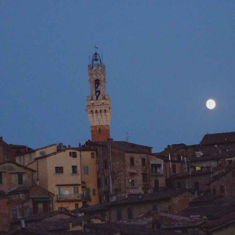 Siena Pallazzo Publico
