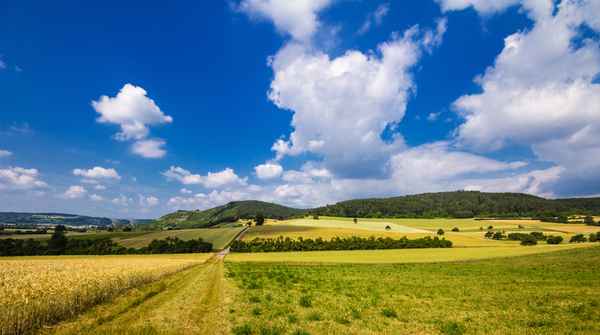 Sommer