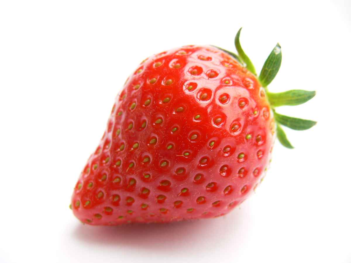 Erdbeere