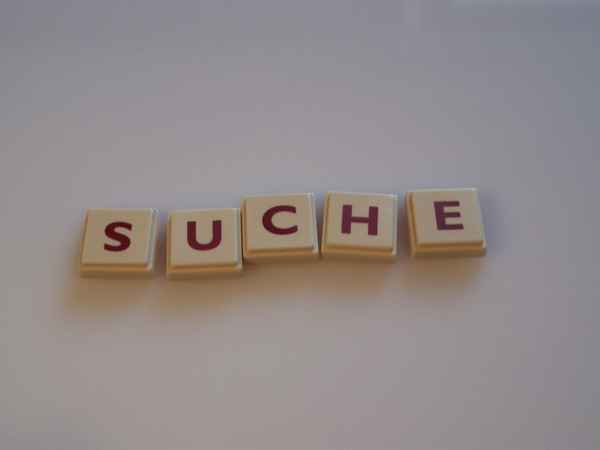 Wortbild Suche