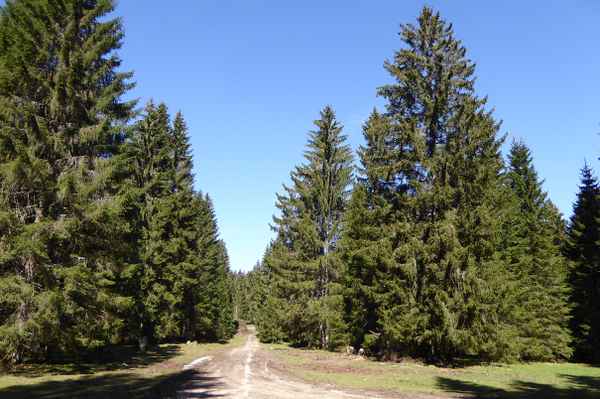 Haute route de Jura Bernoise