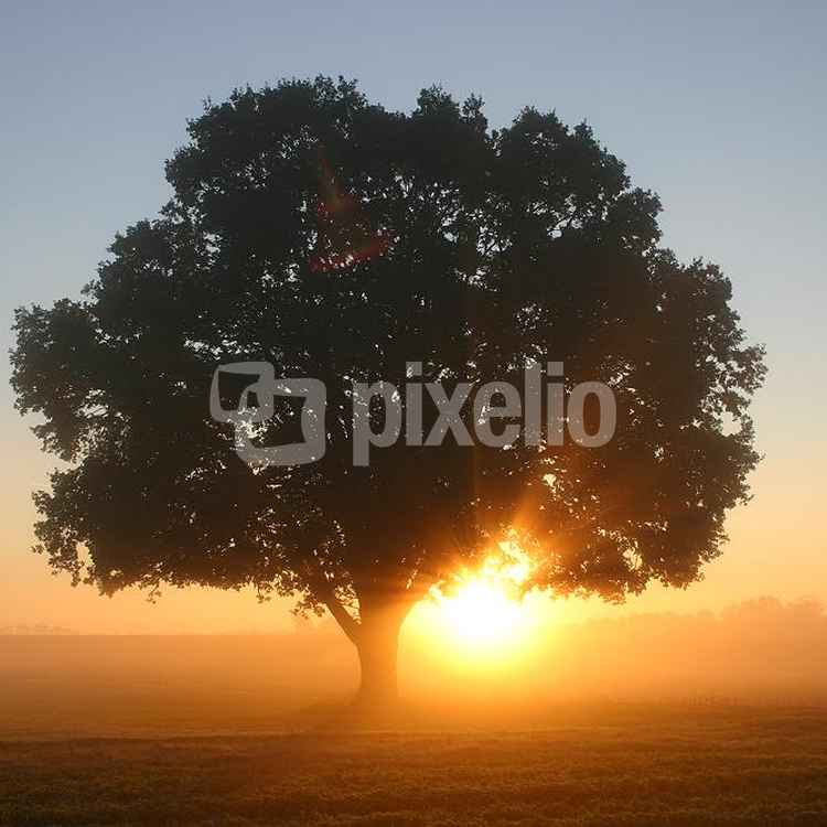 Sonnenaufgang