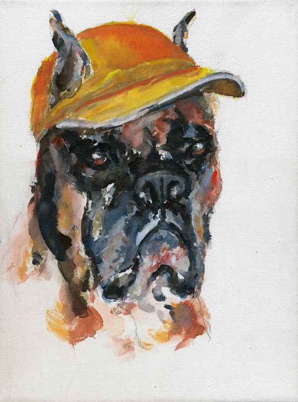 Boxer CHICCO der Sportliche