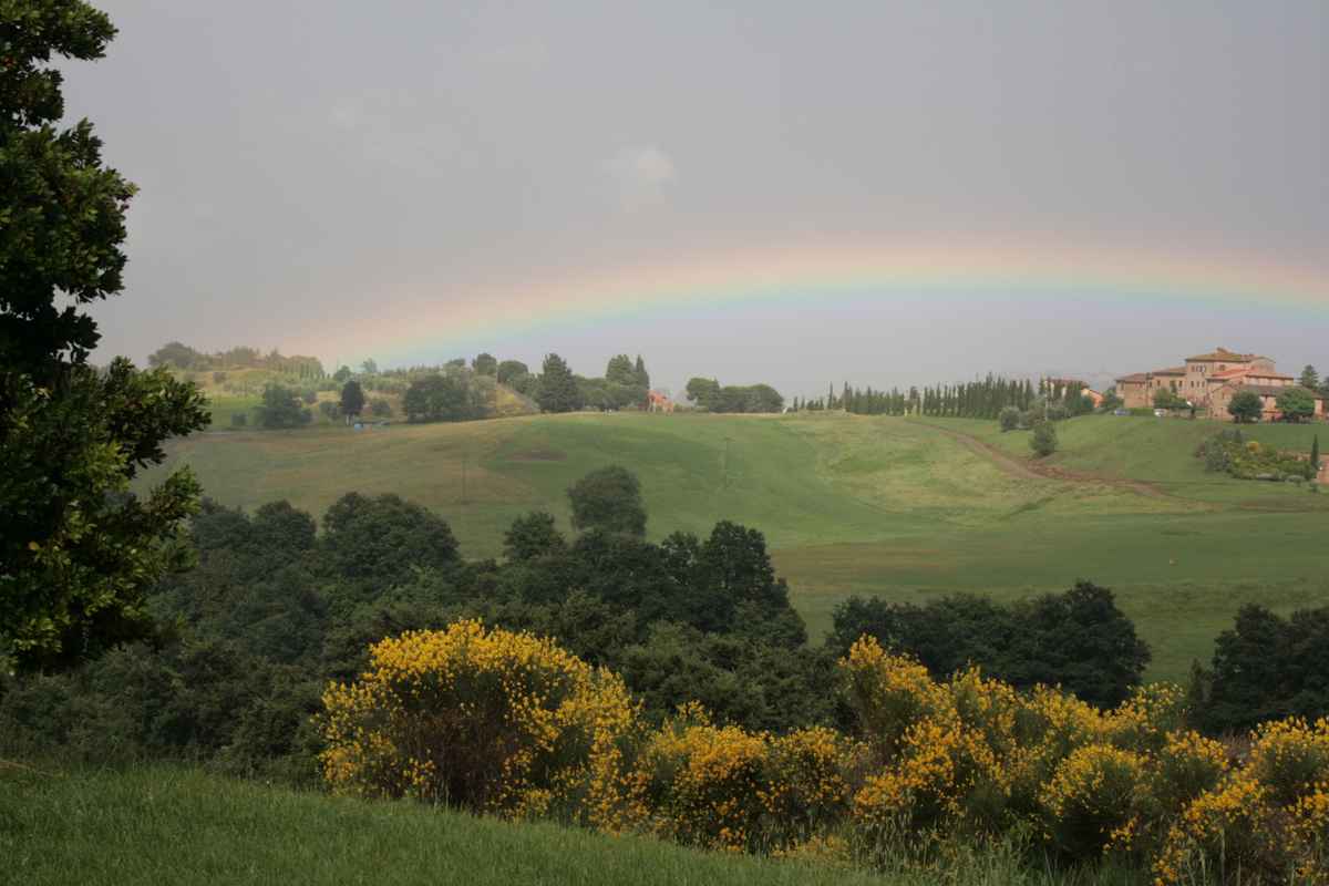 Regenbogen